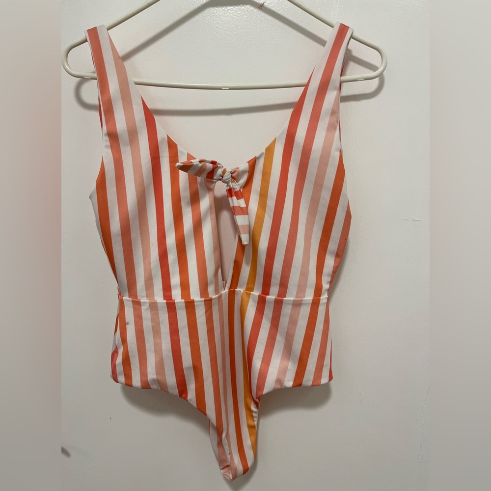 Striped Indigo Swimwear